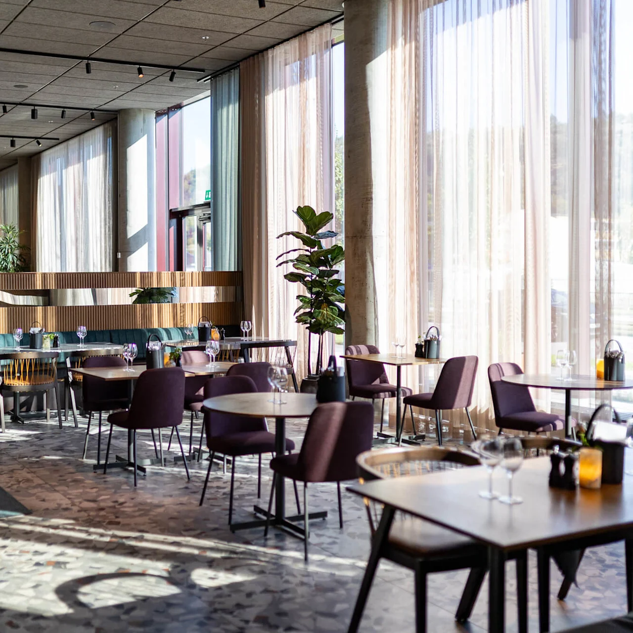 Restaurangbord arrangerade med stolar och vinglas, omgivna av frodiga växter och stora fönster, som skapar en ljus och inbjudande atmosfär.