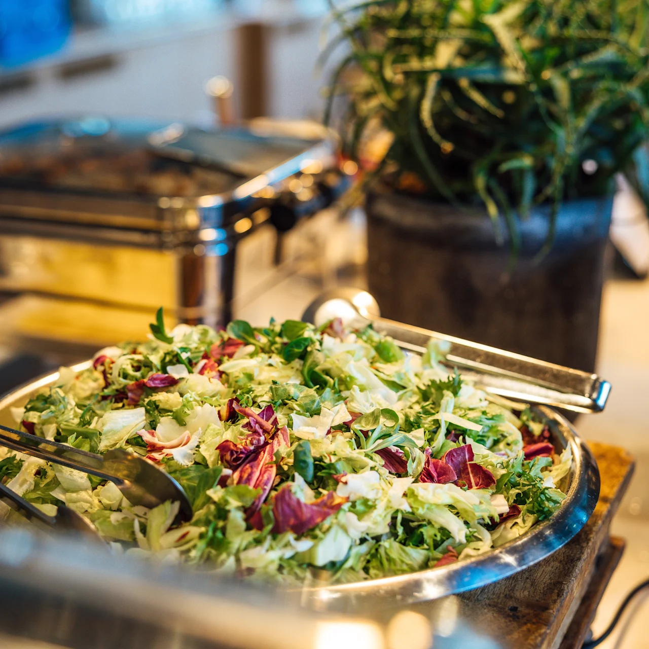 A large bowl of mixed salad with leafy greens and radicchio sits on a buffet table. A metal serving tong rests on the bowl. A potted plant is in the background.