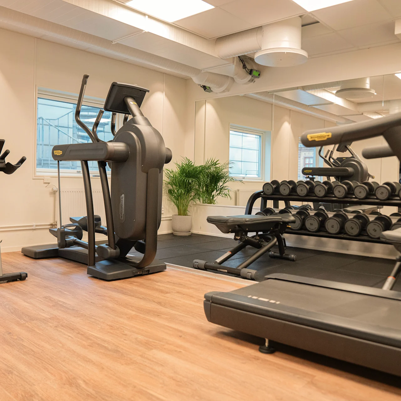 Træningsudstyr står ubenyttet; løbebånd, motionscykel og håndvægte organiseret. Spejle og vinduer oplyser det rummelige fitnesscenter med trægulve og en potteplante.