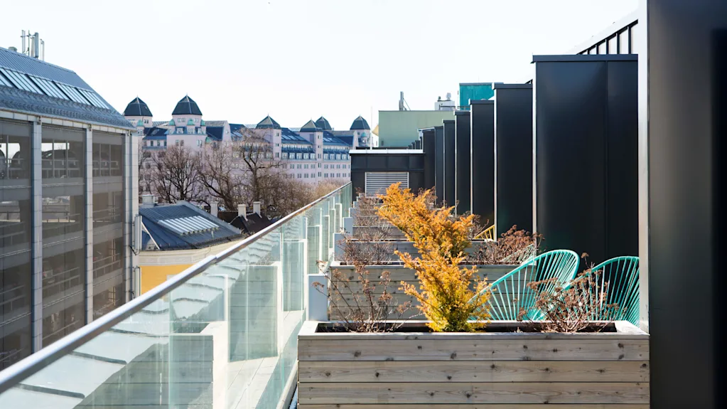 Takterrasse med potteplanter og grønne stoler langs et glassrekkverk, bybygninger og trær synlige i bakgrunnen.