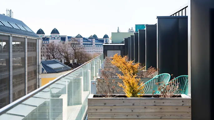 Rooftop with potted plants and green chairs lining a glass railing, city buildings and trees visible in the background.