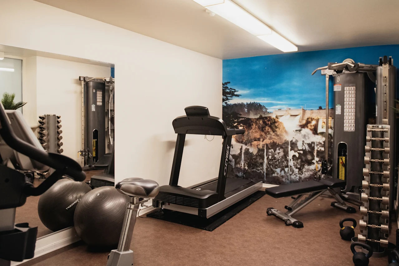 A well-equipped gym at Home Hotel Kung Oscar with a treadmill, weights, and exercise balls, featuring a scenic mural.