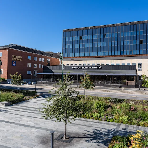 Modern hotel building in bright sunshine with a lush green park and paved walkway under a clear blue sky