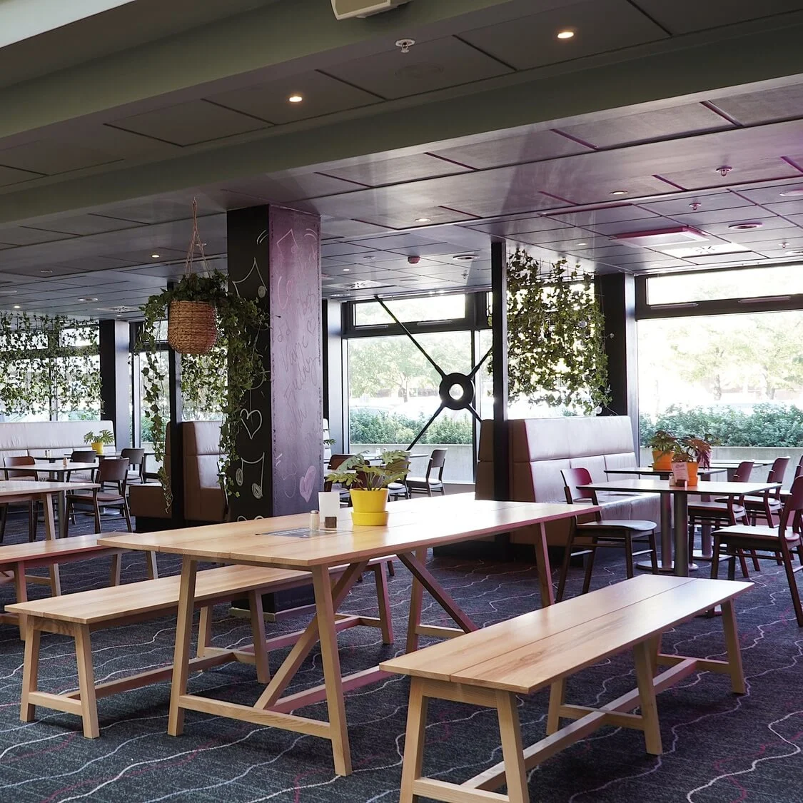 A spacious, modern cafeteria with wooden benches, individual tables, hanging plants; light entering through large windows.