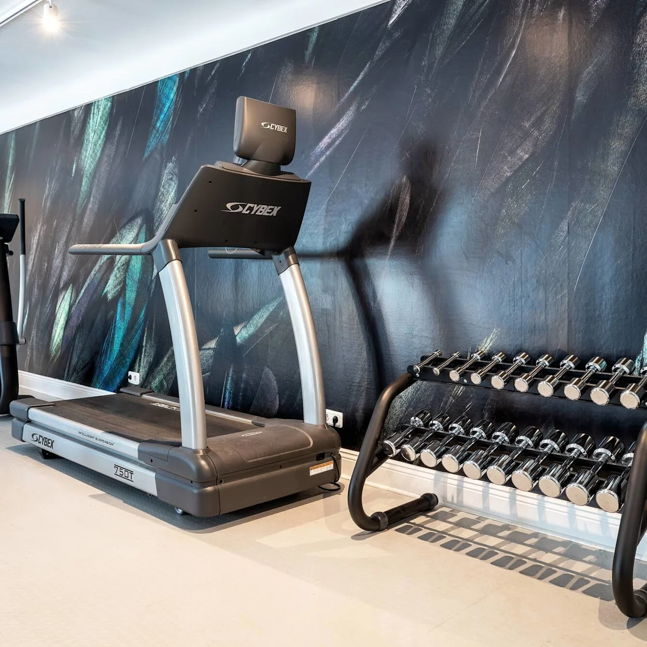 Träningsutrustning placerad längs en vägg med abstrakt muralmålning; inkluderar löpband, motionscykel och hantelställ i ett gym.