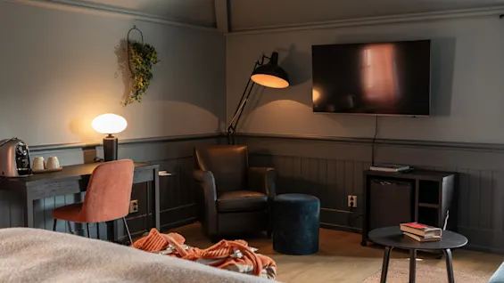 Et hyggeligt værelse med en lænestol overfor et vægmonteret TV. Et skrivebord med lampe og stol står i nærheden. En dekorativ plante på væggen og tekstiler i forgrunden.