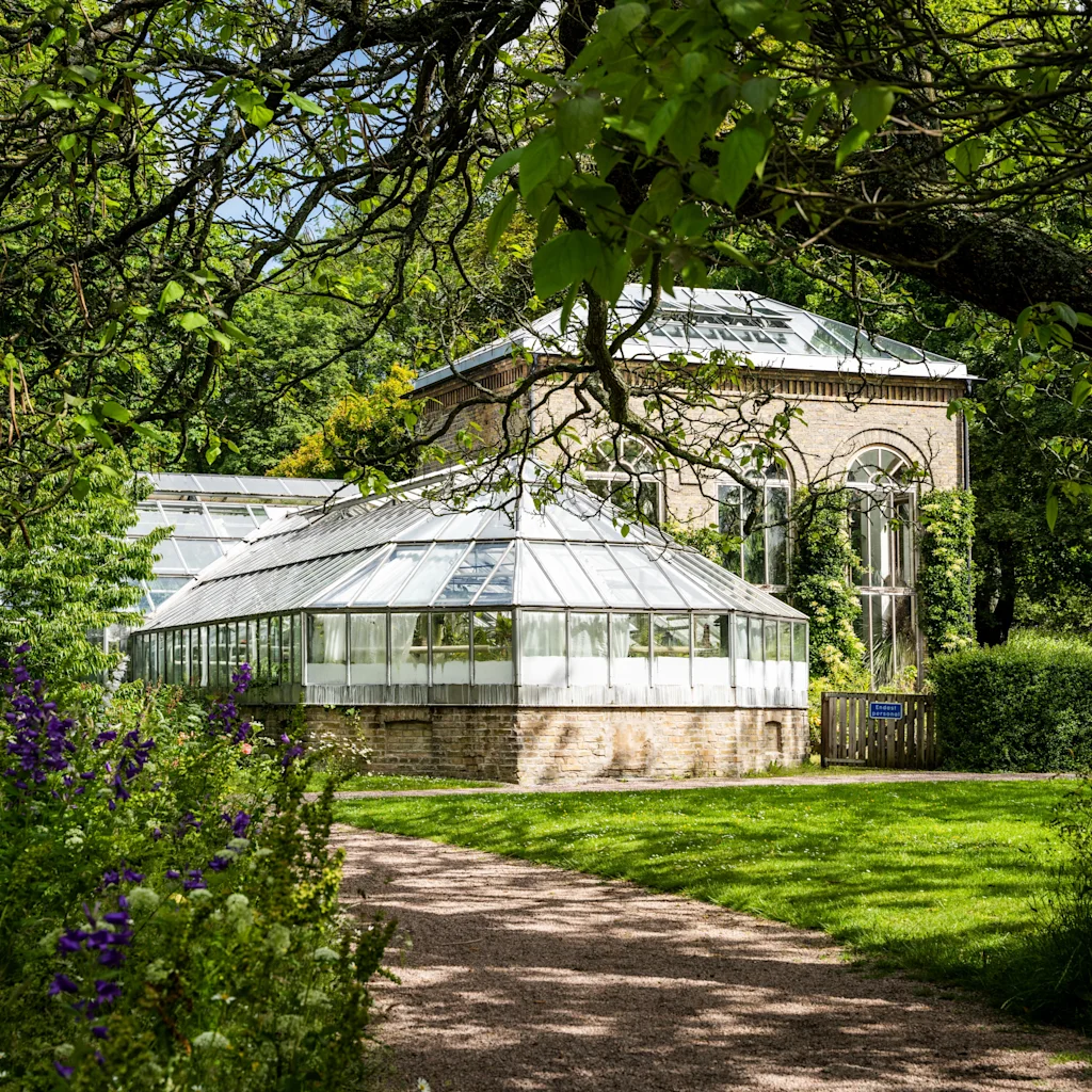 A winding path through a lush garden leads to a beautiful greenhouse and a brick building with large windows.