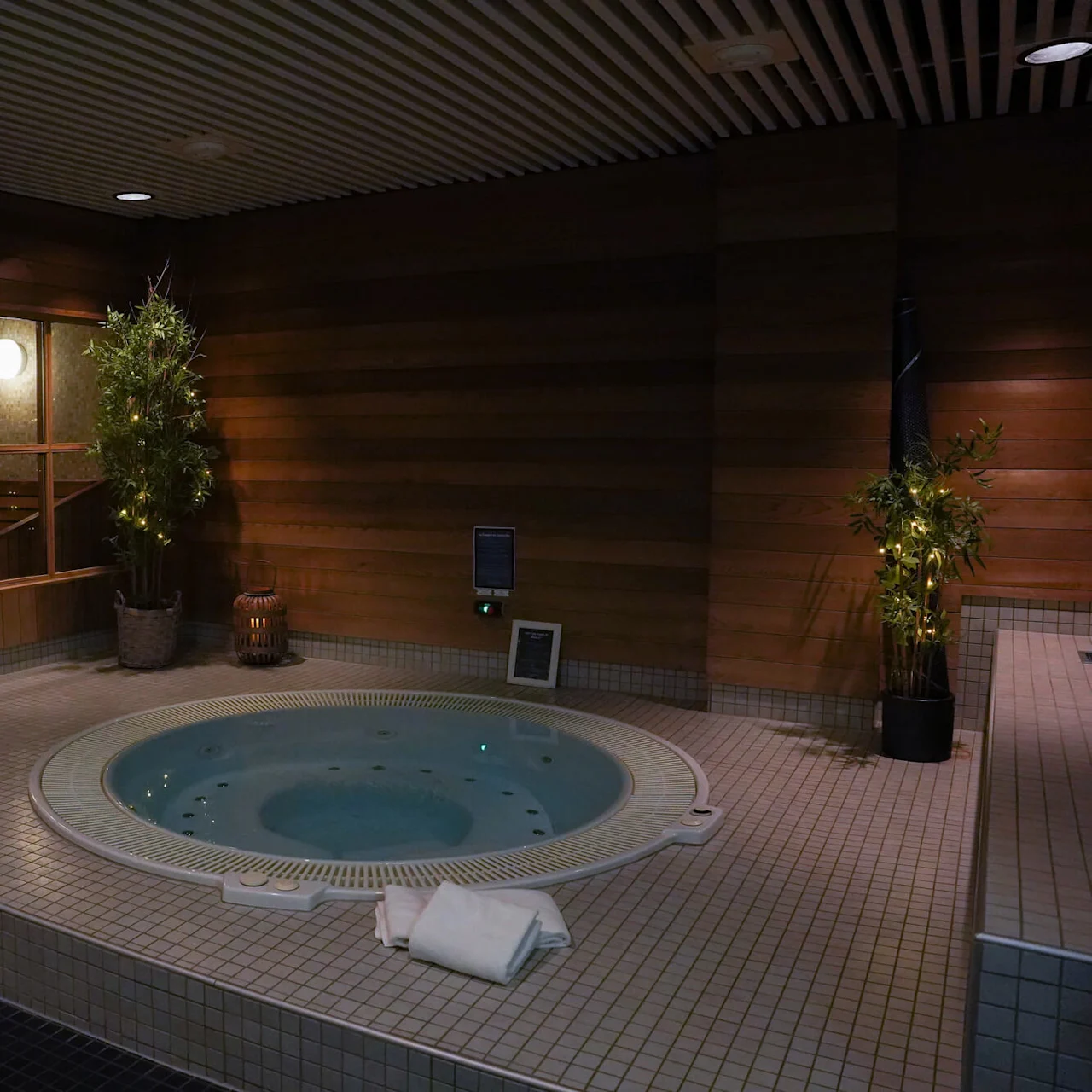 A jacuzzi with still water, adjacent wooden sauna doors, tiled floor, ambient lighting, and potted plants create a tranquil spa environment.