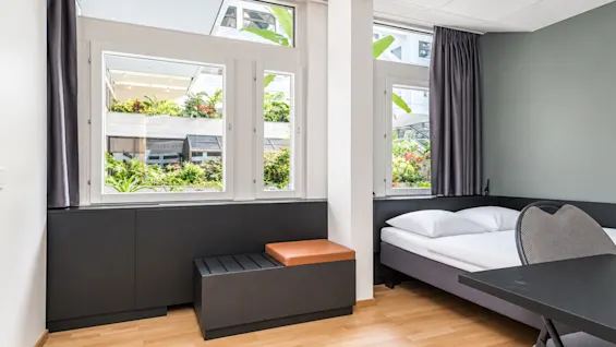 Bright hotel room featuring a double bed, desk, and large windows looking out at green plants.