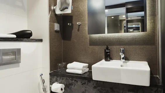 Vask med sammenlagte håndklær og "EcoLac Shampoo"-flaske på en mørk benkeplate. Flislagt vegg har et speil; i nærheten er en bidetsprayer, toalettpapir og glasshyller med en hårføner.
