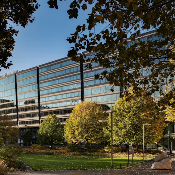 Modern office building framed by autumn trees and a green park on a sunny day.