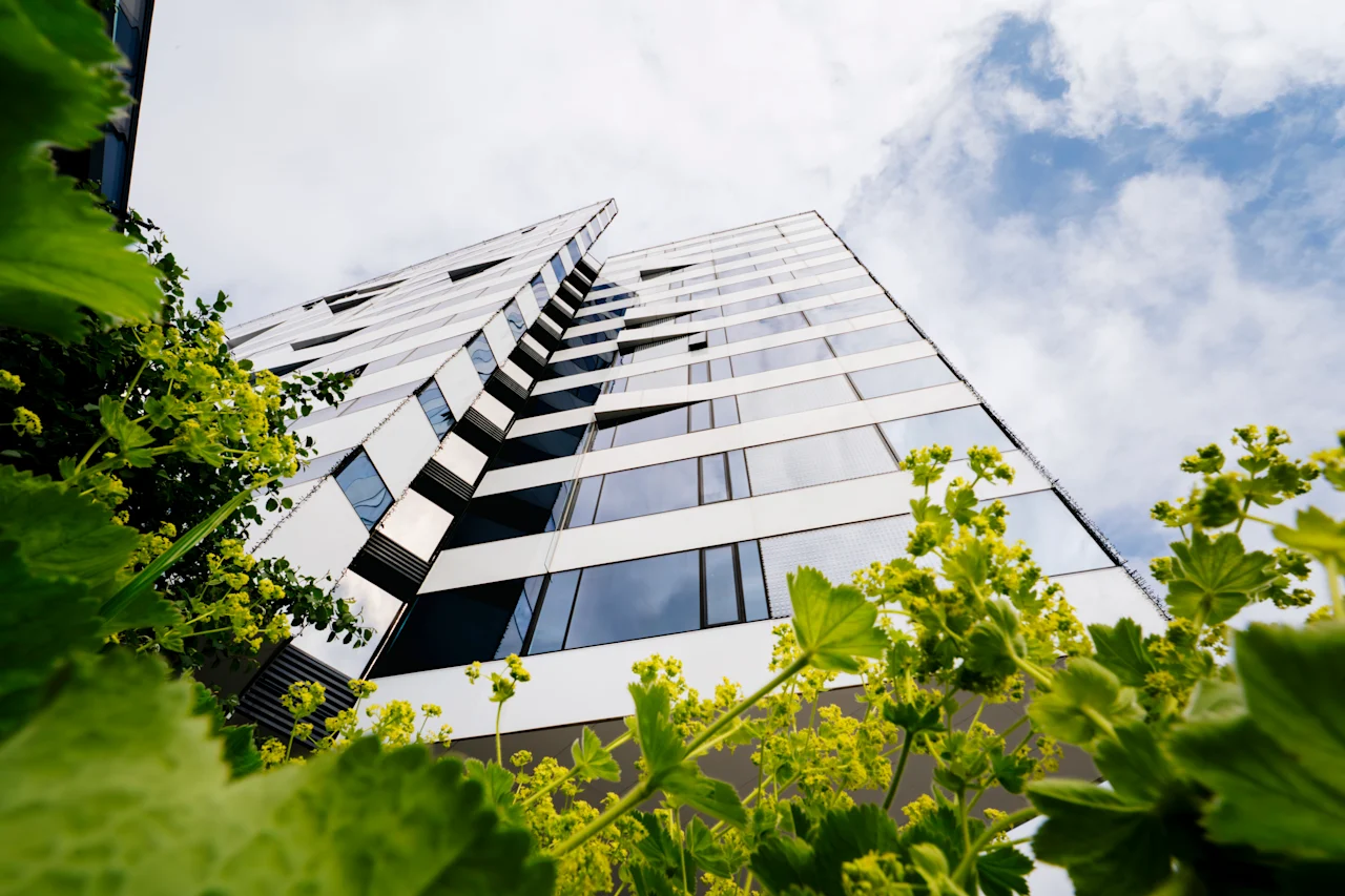 A tall, modern building with reflective windows reaches towards a cloudy sky. Green plants with yellow flowers are in the foreground, creating a contrast.