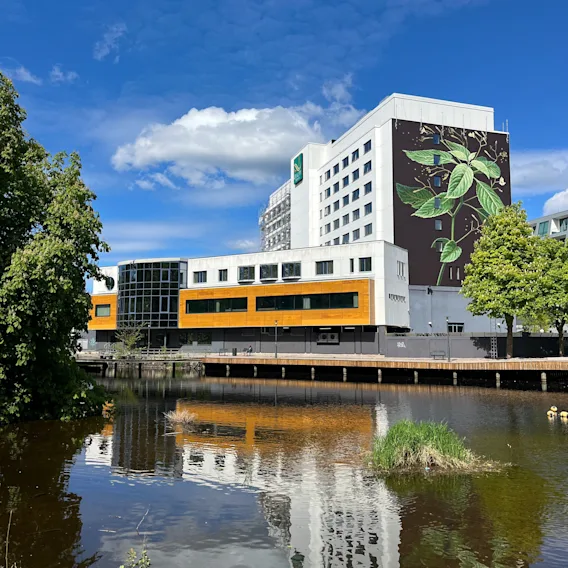En byggnad med en stor växtmålning speglas i en lugn vattensamling. Träd och gräs omger området under en klarblå himmel.