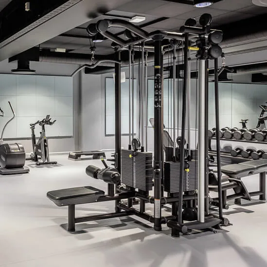 Treadmills, elliptical machines, and weight machines are arranged neatly in a modern, spacious gym with gray walls and ceiling. Dumbbells are lined up on a rack.