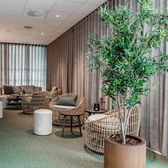Cozy seating area features wicker chairs, round tables, and potted plants on a light green carpet. Soft lighting and neutral curtains create a relaxed atmosphere.
