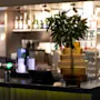 A stylish bar counter at Home Hotel Grand Bodø with a beer tap, a plant in a decorative vase, and shelves of bottles in the background.