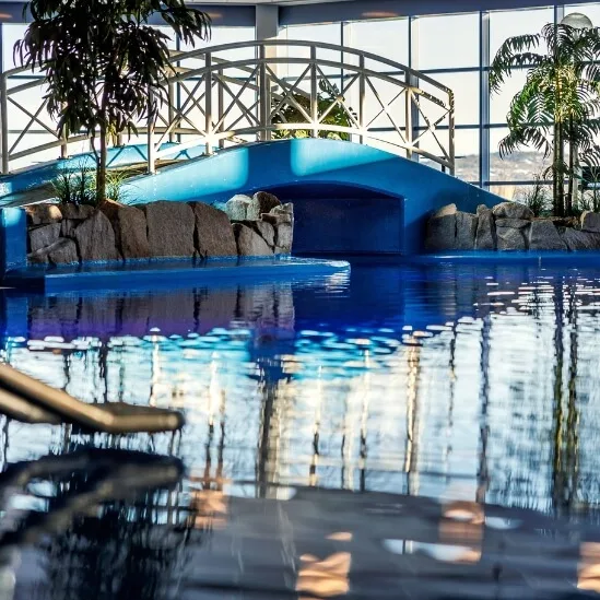 A indoor pool and a palm at Quality Hotel Skjærgårdens Badepark.