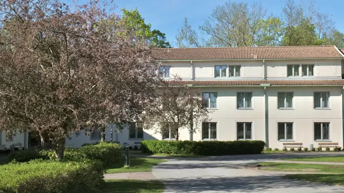 A three-story white building stands behind blooming trees, surrounded by green shrubs and a paved pathway under a clear blue sky.