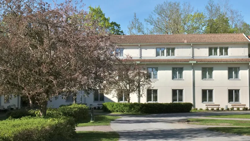 A three-story white building stands behind blooming trees, surrounded by green shrubs and a paved pathway under a clear blue sky.