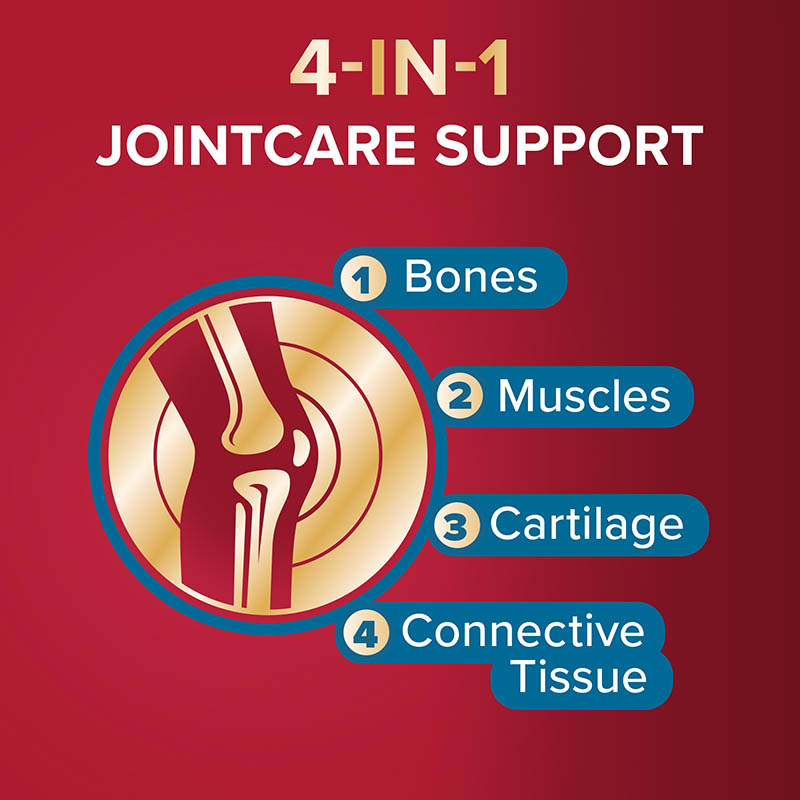 4 in 1 Jointcare support: bones, muscles, cartilage, connective tissue