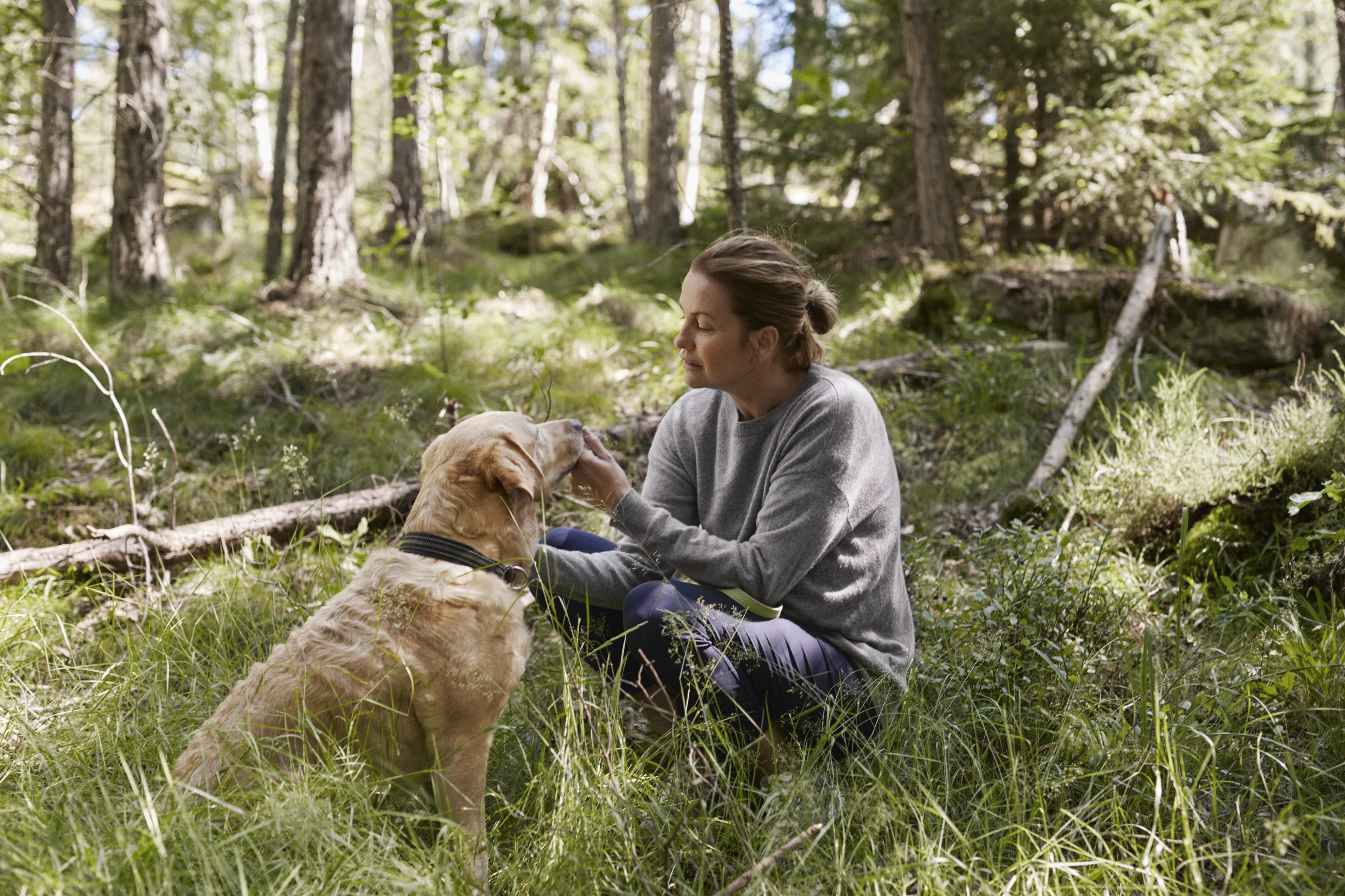 Skydda din hund i värmen - viktiga tips för en trygg sommar