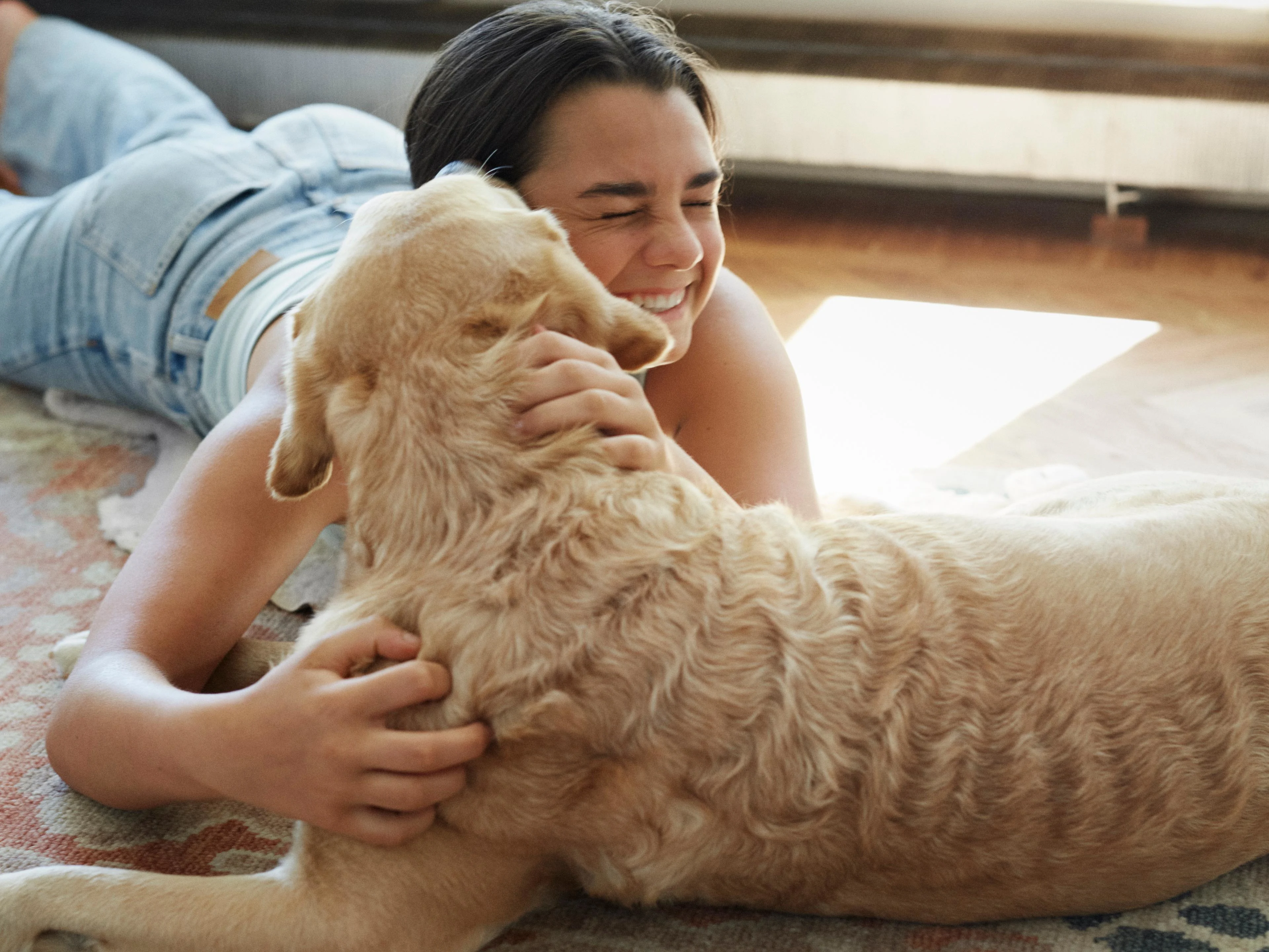 Så behandlar du vanliga öronproblem hos hund & katt