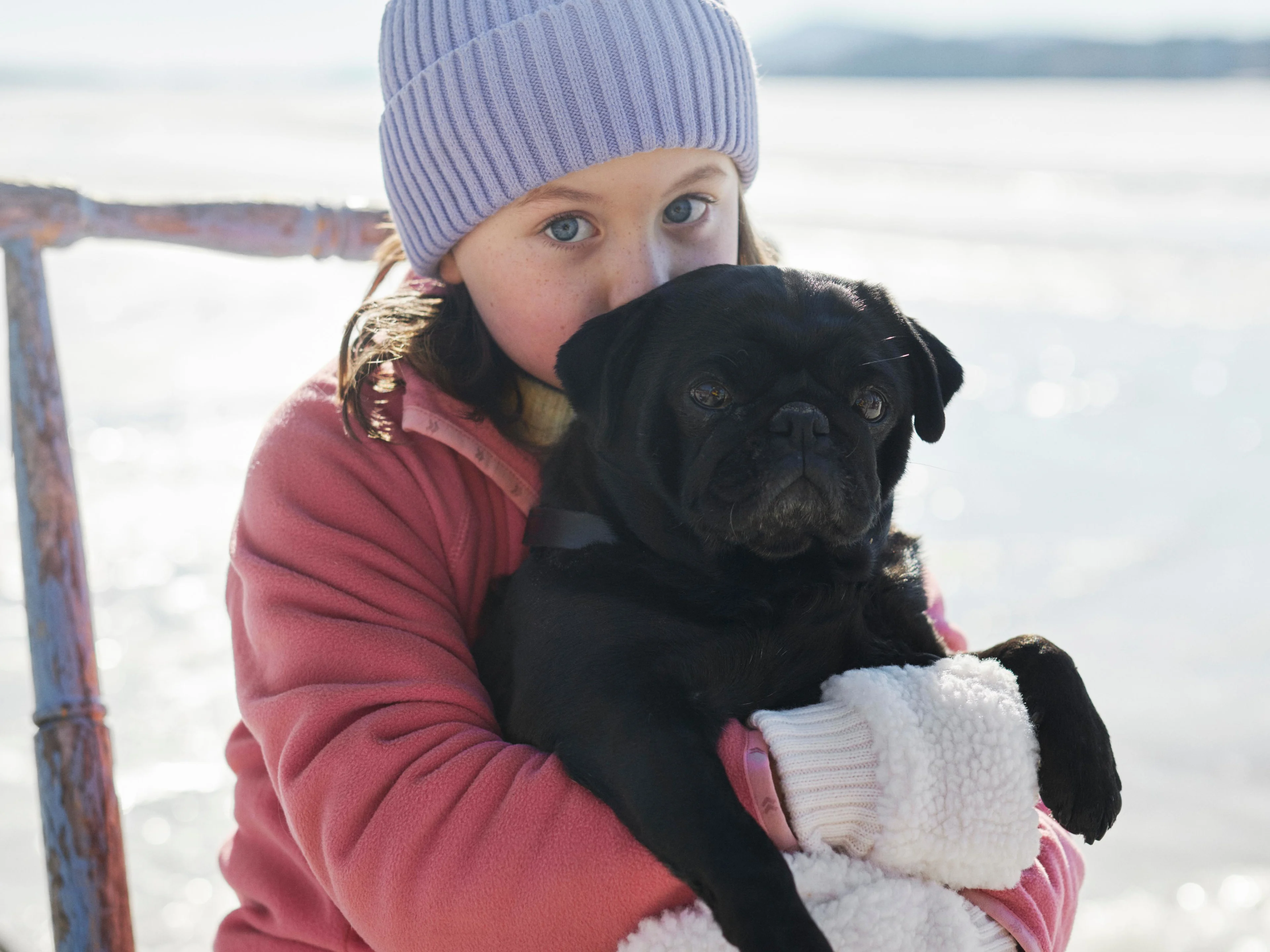 Håll hunden varm & synlig i vinter