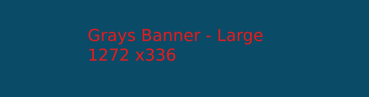 alt text 3