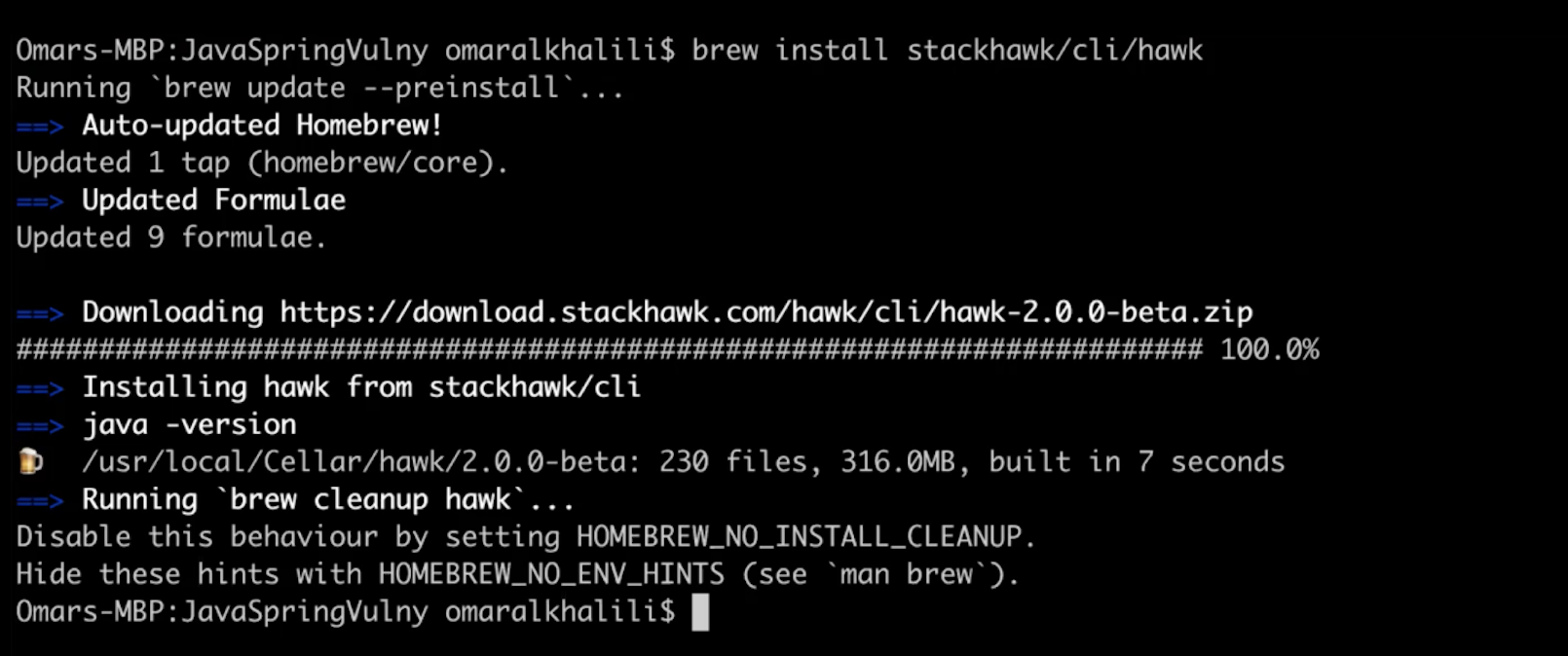 StackHawk CLI Install - Pic 1 image