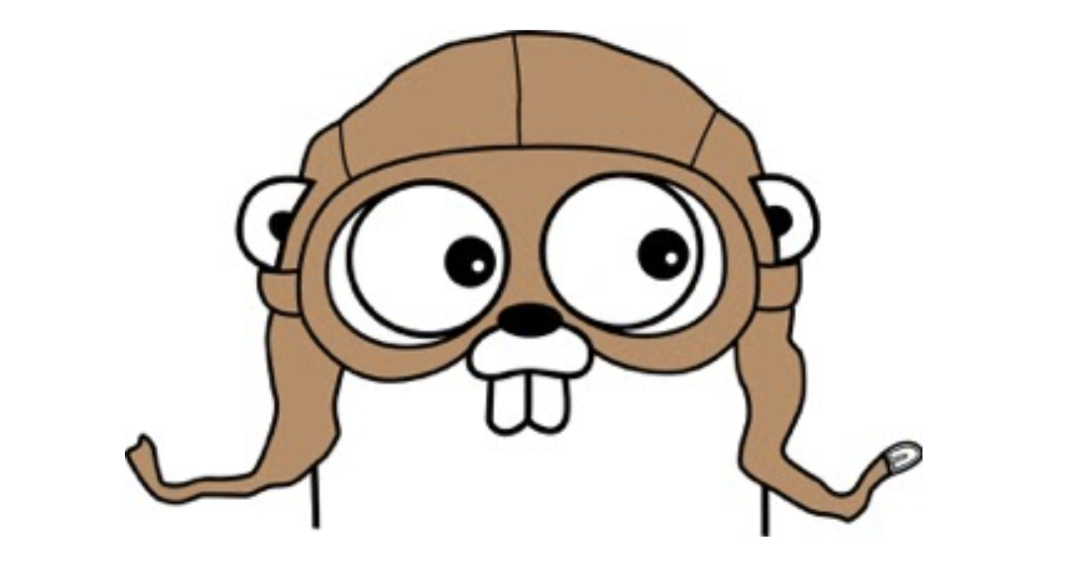 Golang CSRF Protection Guide: Examples and How to Enable It image