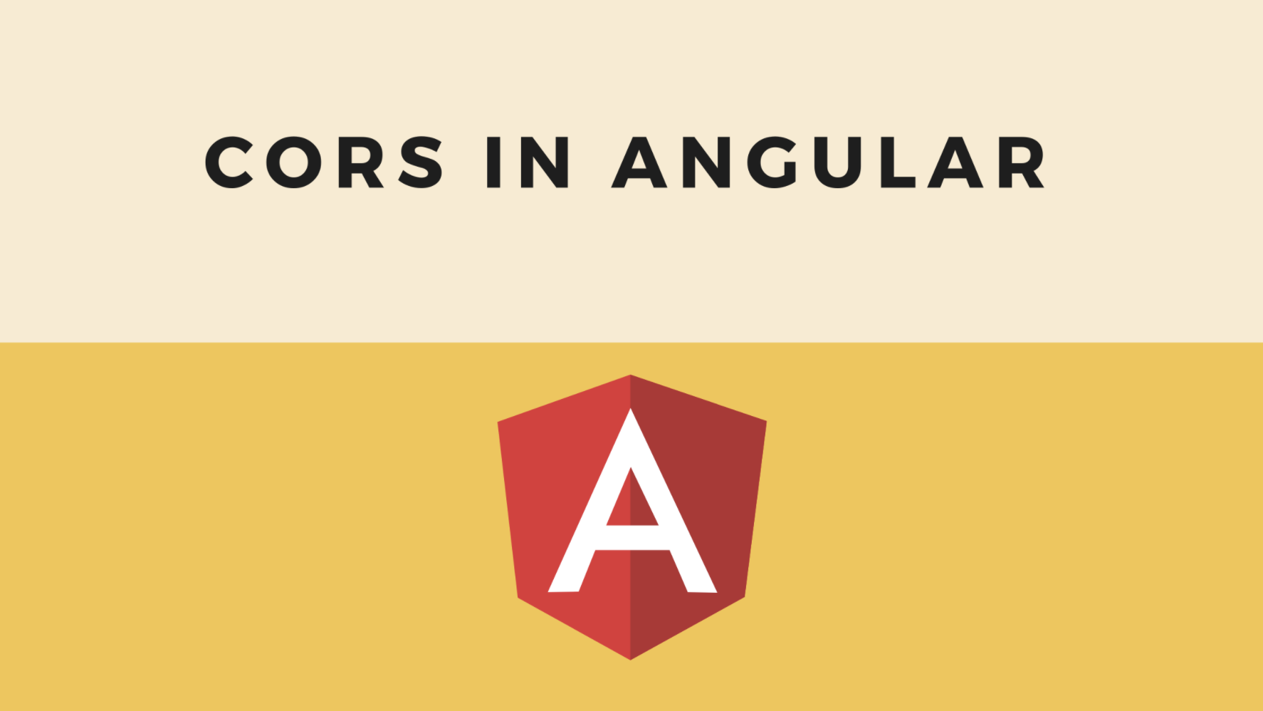 Angular CORS Guide - Picture 1 image
