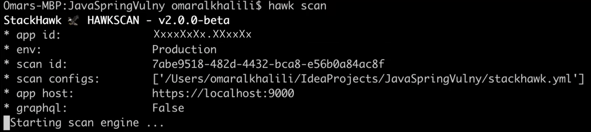 Getting Started with the New StackHawk CLI - Hawk Scan Pic image