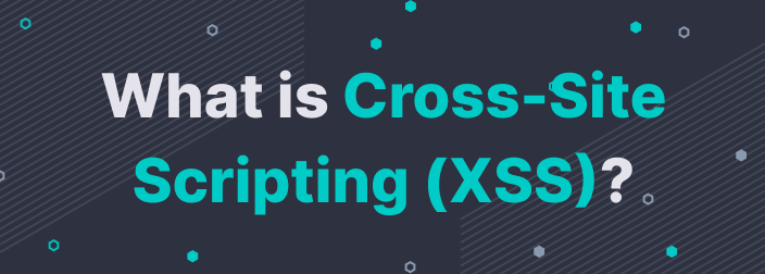 What is Cross Site Scripting