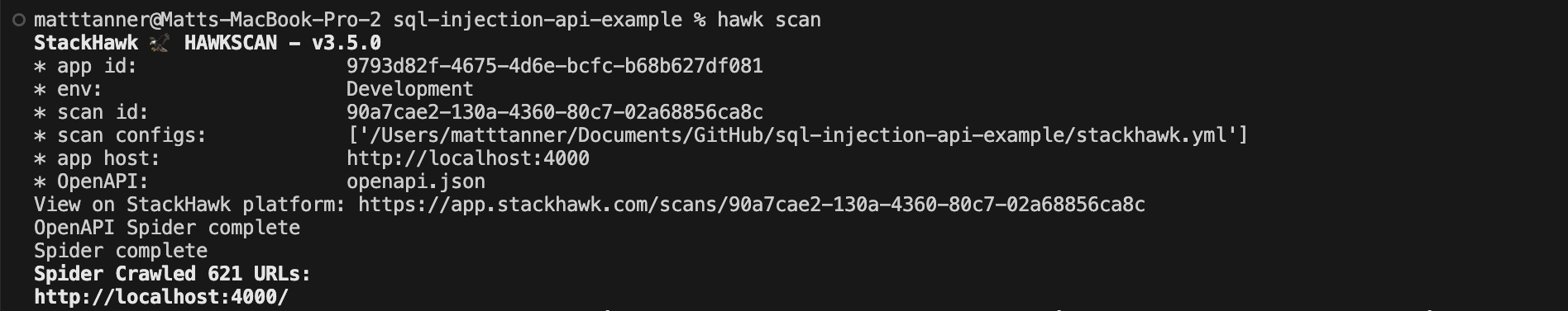 HawkScan command running in the terminal image