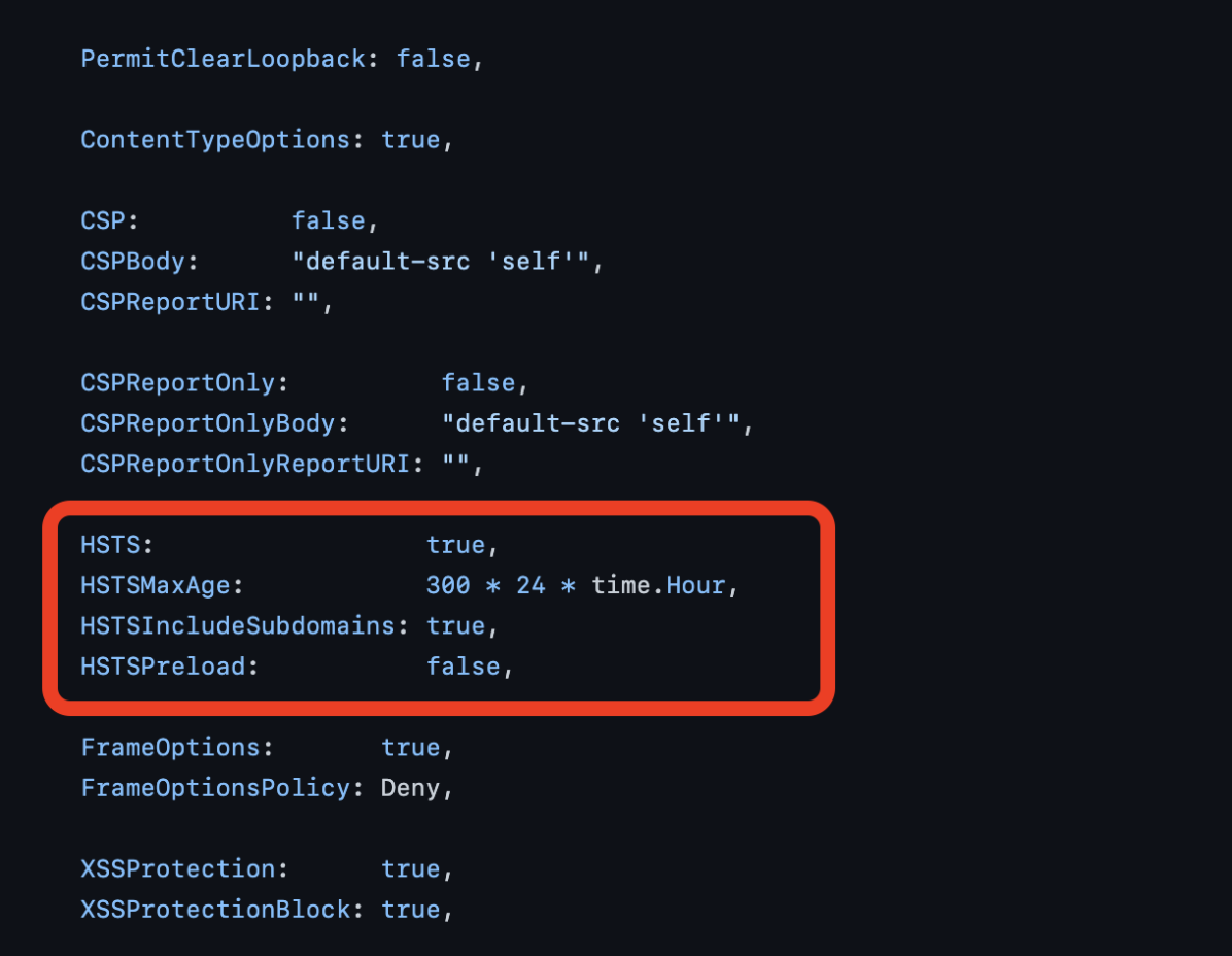 Golang HTTP Strict Transport Security Guide: What It Is and How to Enable It - Picture 1 image