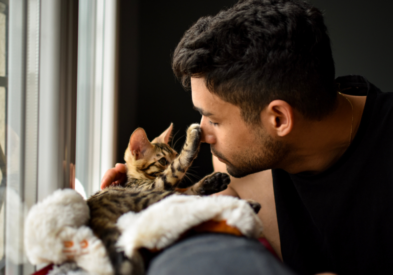 A man lovingly leans in to kiss a Bengal cat, who is playfully reaching out to touch his face with its paw.