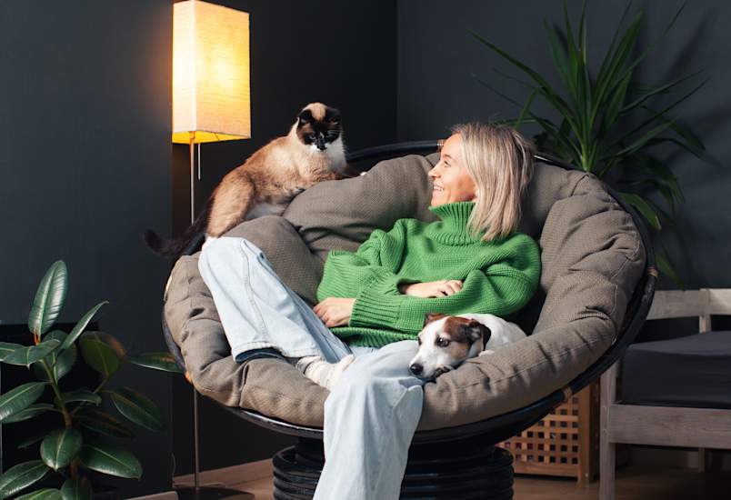 A woman in a green sweater lounges in a round papasan chair beneath warm lamplight, a Siamese cat perched on the backrest and a Jack Russell terrier curled in her lap.