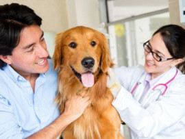 a man holding a golden retriever while a woman veterinarian does a checkup