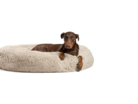 dog on plush dog bed