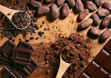 The image shows various chocolate products, which contain theobromine and caffeine—substances toxic to dogs. Pet owners should be cautious, as these can cause severe health issues or death in dogs, making pet insurance essential for emergencies related to chocolate ingestion.