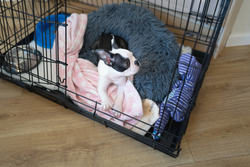 Puppy in a crate laying in its bed after dog crate training