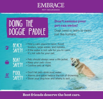 IV. Essential Water Safety Tips for Dogs at the Beach