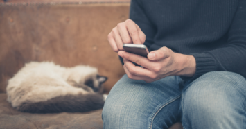 cat laying in background with man looking at phone