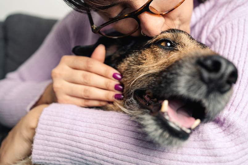 A dog being hugged by his owner after the cost of a dog DNA test