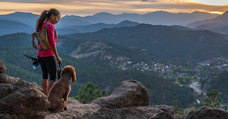 how much water should i bring my dog hiking