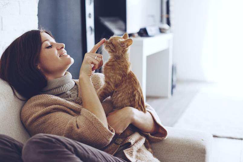 A smiling cat owner enjoys a bonding moment as her ginger kitten perches in her lap, ready for a cozy session of cat kneading. Ever asked yourself "why does my cat make biscuits on me?" You're in good company — it's one of the most common questions cat parents have. 