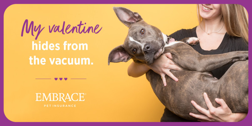 Meme that says "My valentine hides from the vacuum." Next to the text, there is a woman holding her mixed breed dog like a baby.