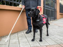 Person Being Guided by Service Dog