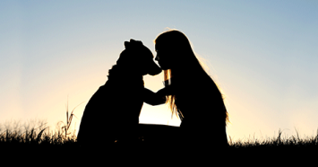 dog and woman in sillhouette