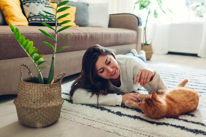  A smiling woman lies on a patterned rug, happily engaging with her orange tabby cat in a bright, plant-filled living room. This kind of floor-level bonding is a hallmark of life with a velcro cat — one that wants to be wherever you are and involved in whatever you're doing. 